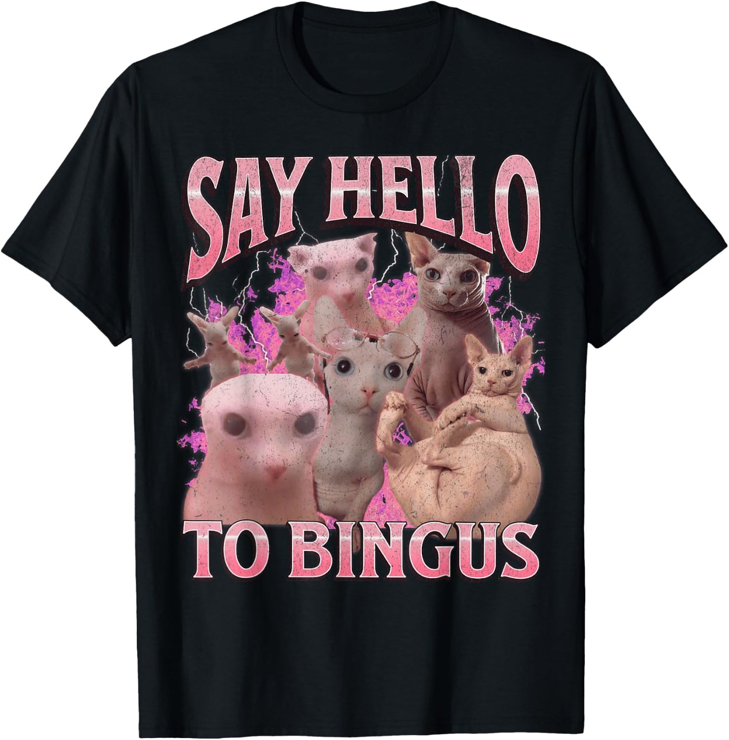 Say Hello To Bingus Funny Sphinx Cat Meme Bootleg Graphic T-Shirt - T-Shirt | Black