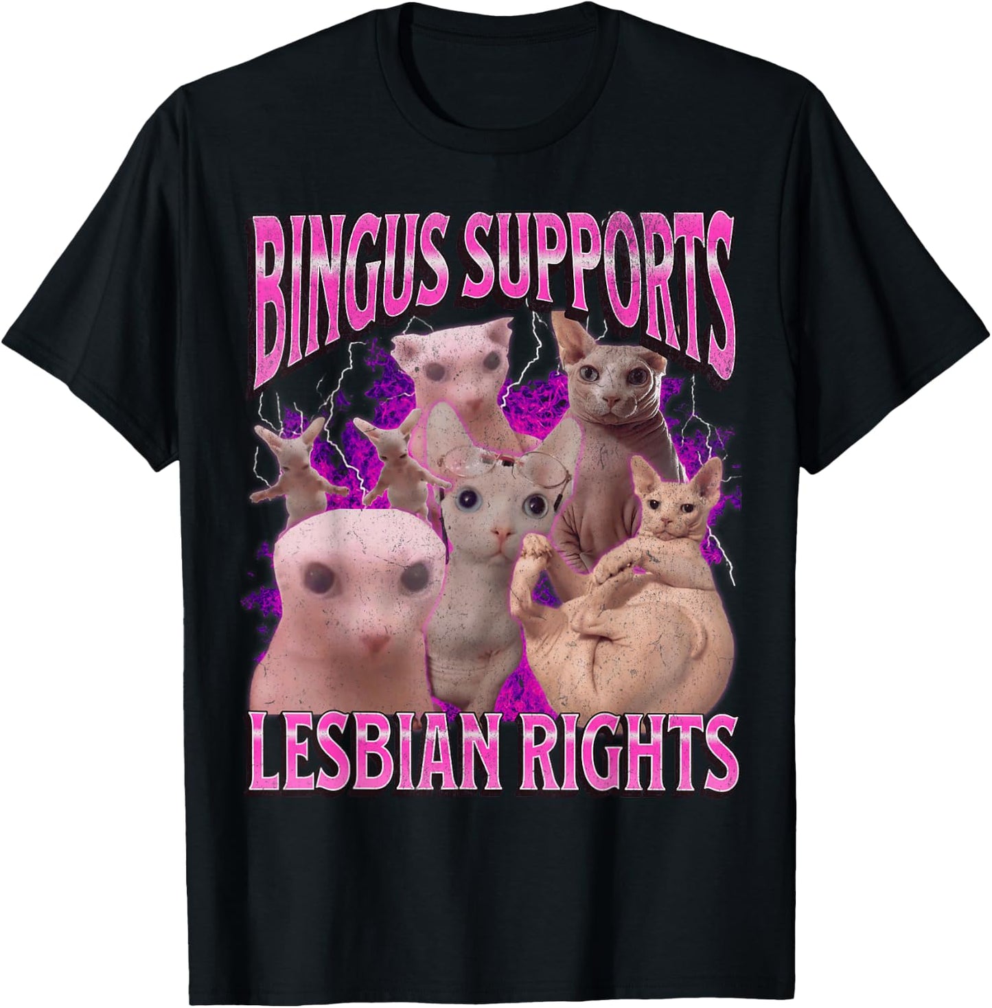 Bingus Supports Lesbian Rights Funny Cat Meme Bootleg T-Shirt - T-Shirt | Black
