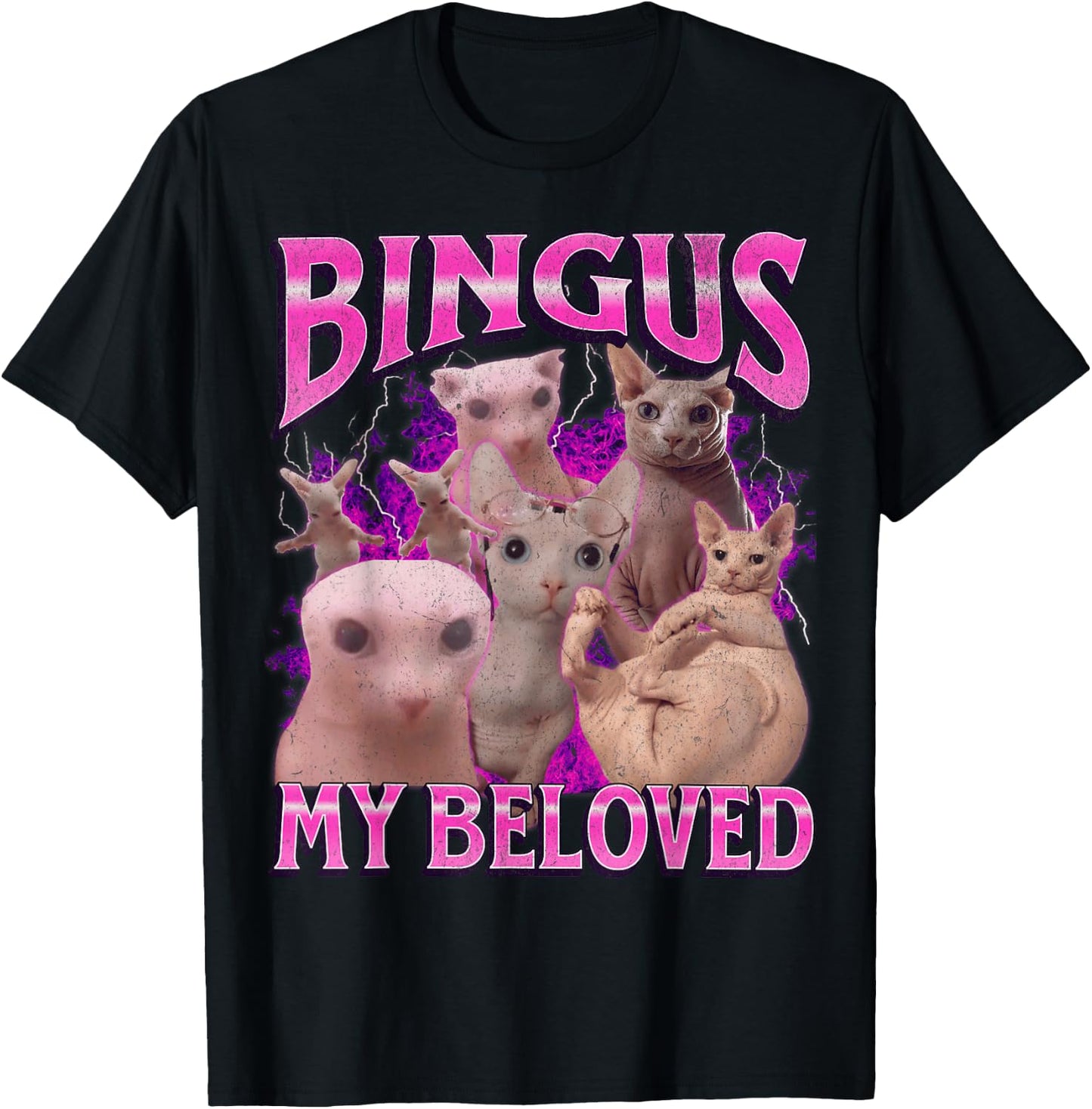 Bingus My Beloved Funny Sphinx Cat Meme Bootleg Graphic T-Shirt - T-Shirt | Black