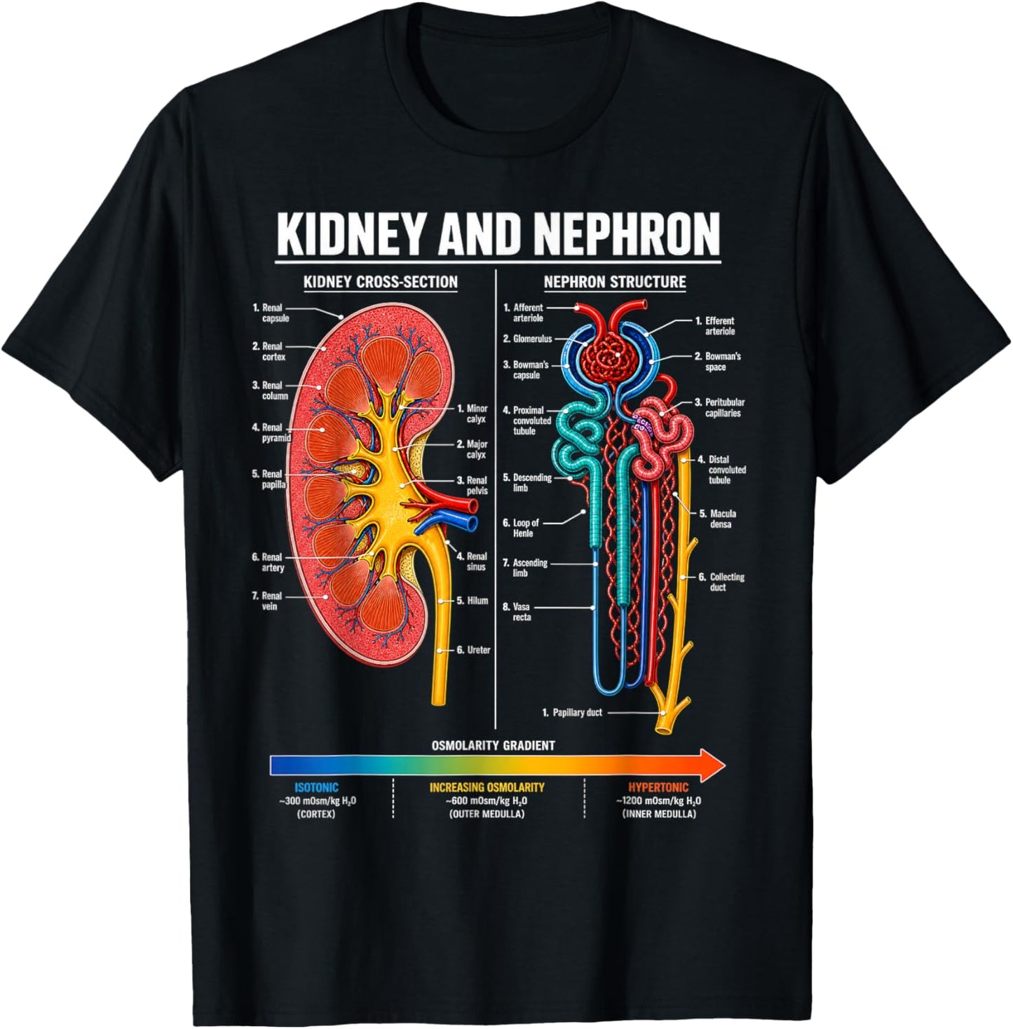 Kidney and Nephron Anatomy Biology Science Gifts Men Women T-Shirt - T-Shirt | Black
