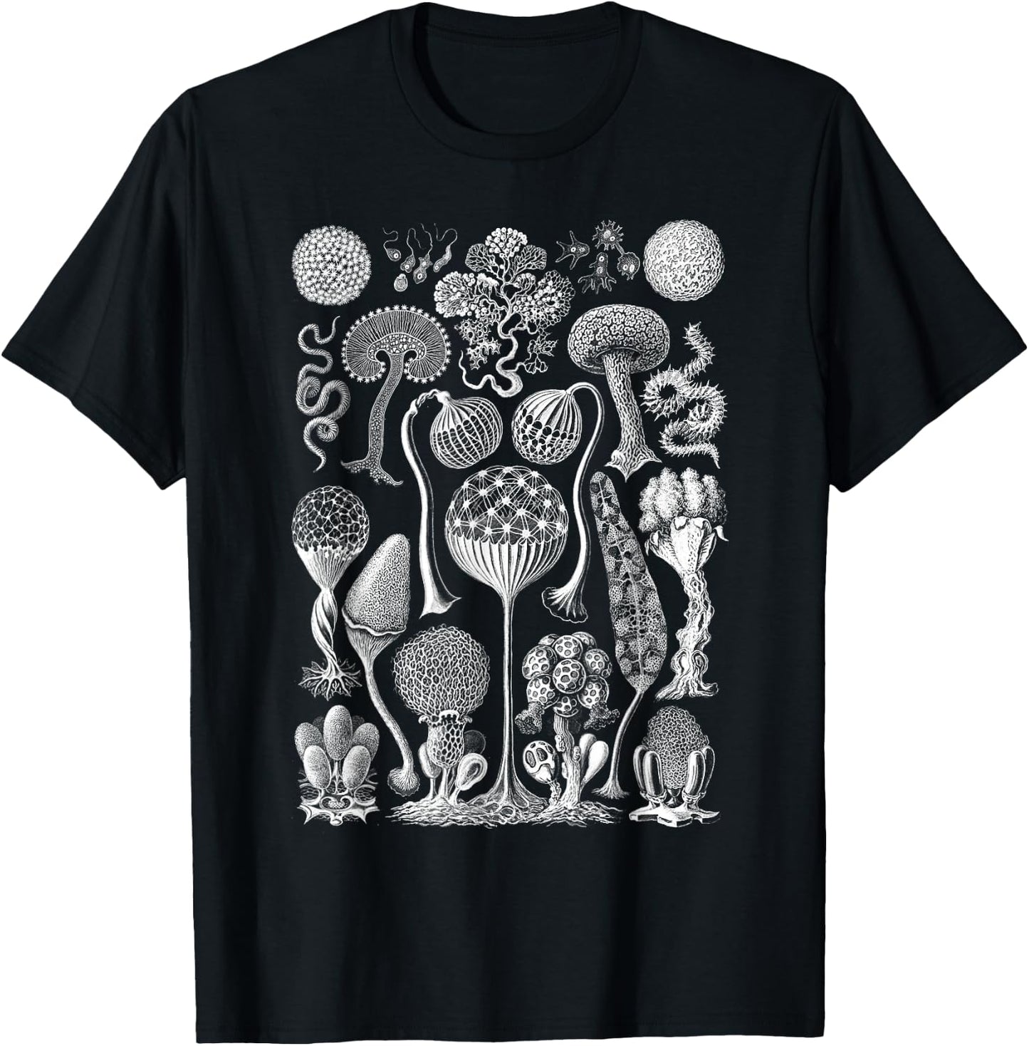Vintage Haeckel Mycetozoa Slime Molds T-Shirt - T-Shirt | Black