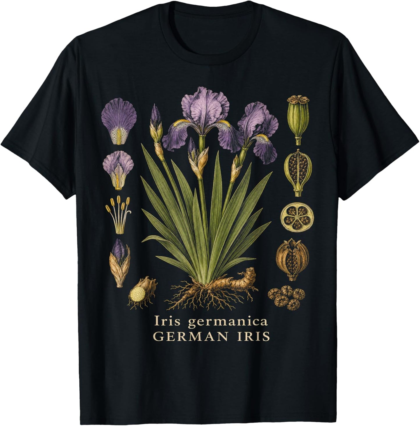 German Iris Botanical Anatomy Vintage Floral Study T-Shirt - T-Shirt | Black