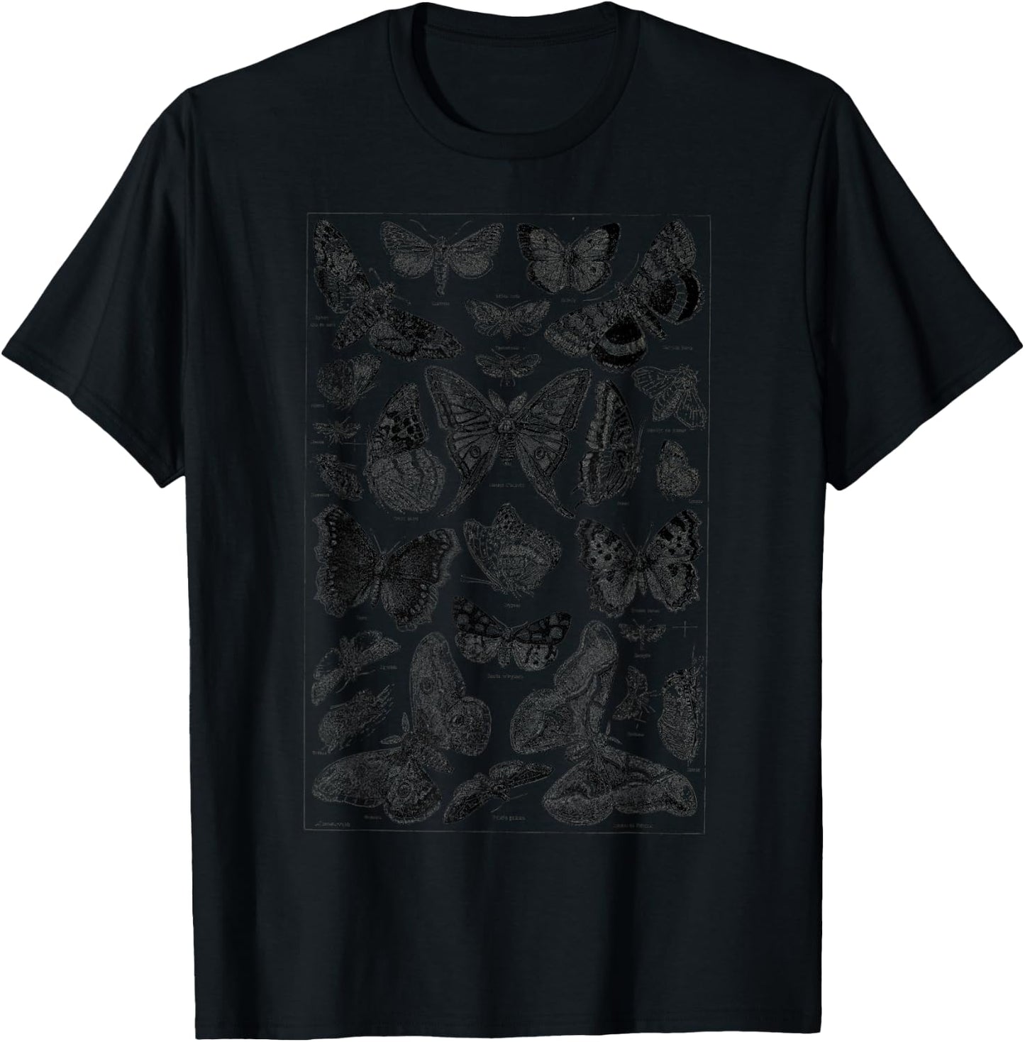 Vintage butterfly Illustration Butterflies Botanical Species T-Shirt - T-Shirt | Black